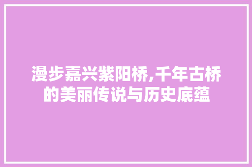 漫步嘉兴紫阳桥,千年古桥的美丽传说与历史底蕴  第1张