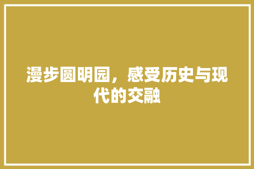 漫步圆明园，感受历史与现代的交融