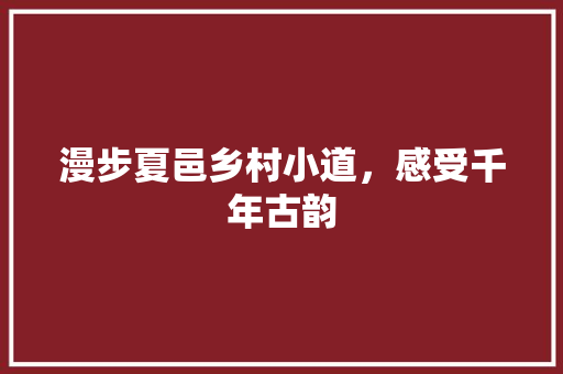 漫步夏邑乡村小道，感受千年古韵