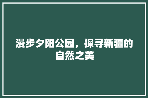 漫步夕阳公园，探寻新疆的自然之美