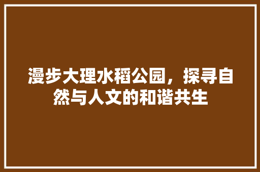 漫步大理水稻公园，探寻自然与人文的和谐共生