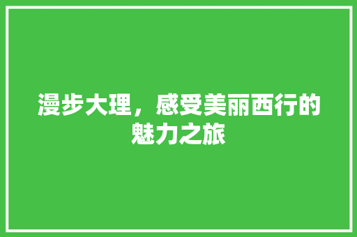 漫步大理，感受美丽西行的魅力之旅