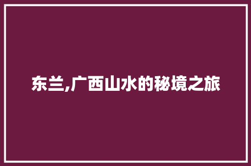 东兰,广西山水的秘境之旅