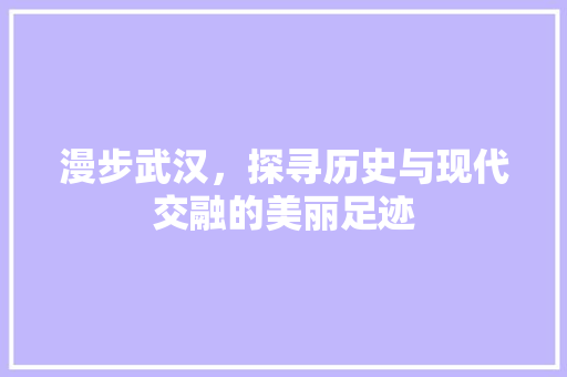 漫步武汉，探寻历史与现代交融的美丽足迹