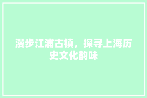 漫步江浦古镇，探寻上海历史文化韵味