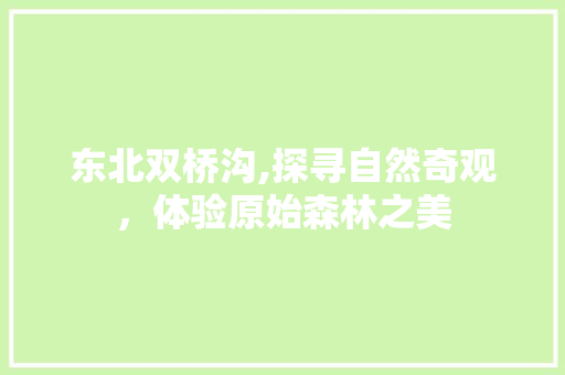 东北双桥沟,探寻自然奇观，体验原始森林之美