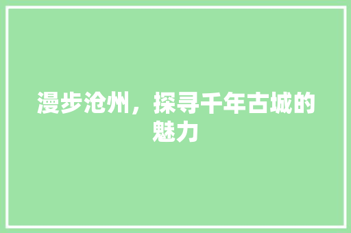 漫步沧州，探寻千年古城的魅力  第1张