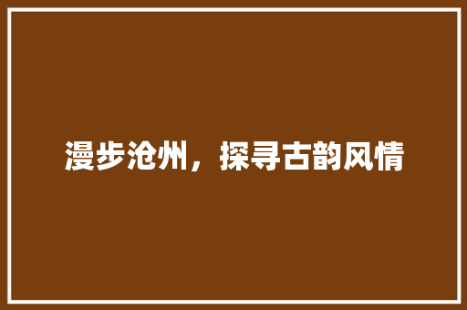 漫步沧州，探寻古韵风情  第1张