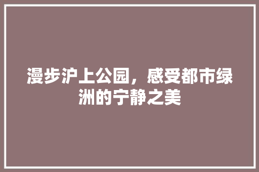 漫步沪上公园，感受都市绿洲的宁静之美  第1张