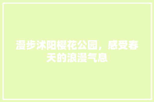 漫步沭阳樱花公园，感受春天的浪漫气息