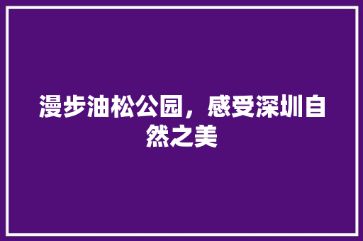 漫步油松公园，感受深圳自然之美