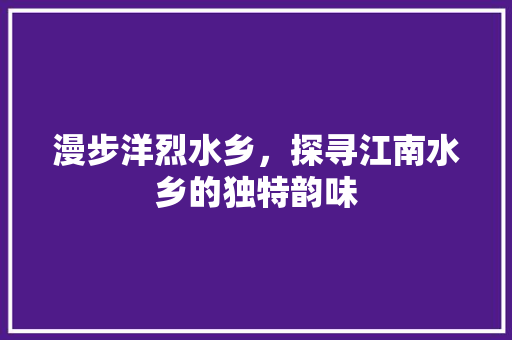 漫步洋烈水乡，探寻江南水乡的独特韵味