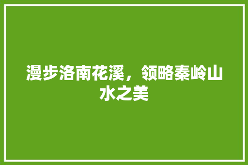 漫步洛南花溪，领略秦岭山水之美