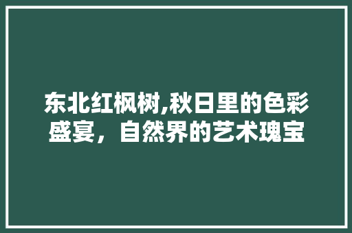 东北红枫树,秋日里的色彩盛宴，自然界的艺术瑰宝