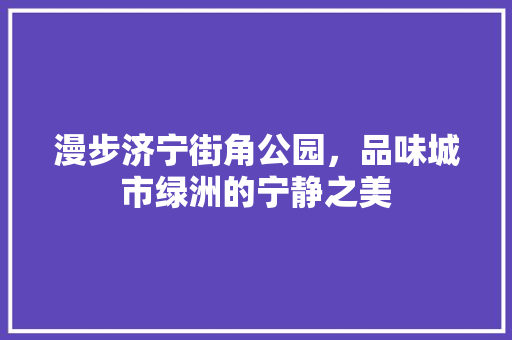 漫步济宁街角公园，品味城市绿洲的宁静之美