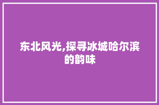东北风光,探寻冰城哈尔滨的韵味