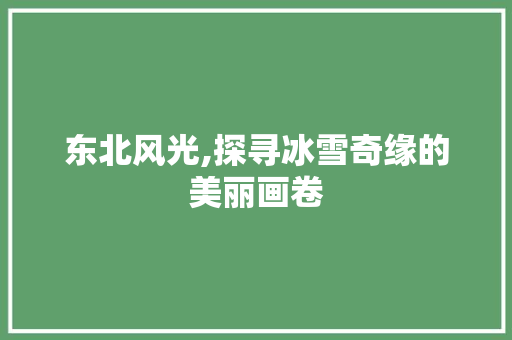 东北风光,探寻冰雪奇缘的美丽画卷