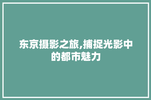 东京摄影之旅,捕捉光影中的都市魅力