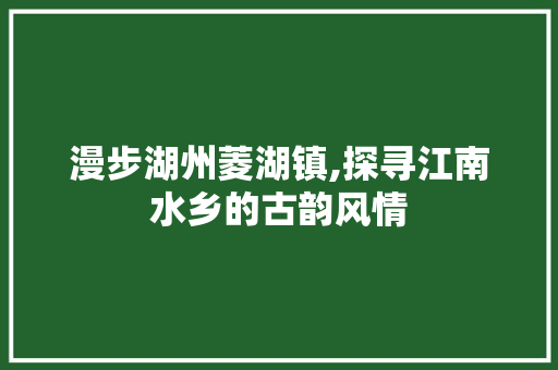 漫步湖州菱湖镇,探寻江南水乡的古韵风情