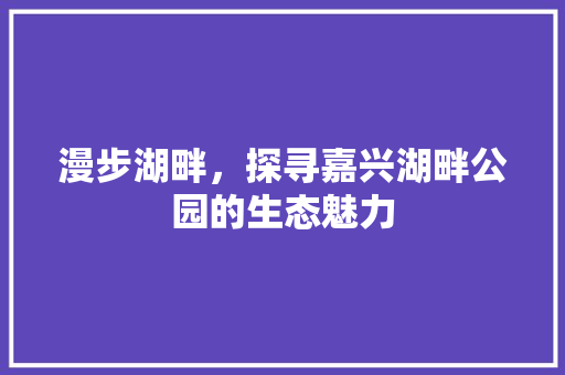 漫步湖畔，探寻嘉兴湖畔公园的生态魅力