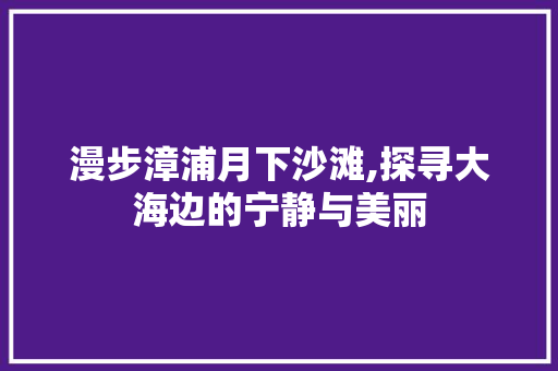 漫步漳浦月下沙滩,探寻大海边的宁静与美丽