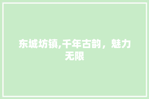 东城坊镇,千年古韵，魅力无限