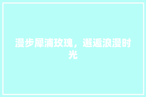 漫步犀浦玫瑰，邂逅浪漫时光