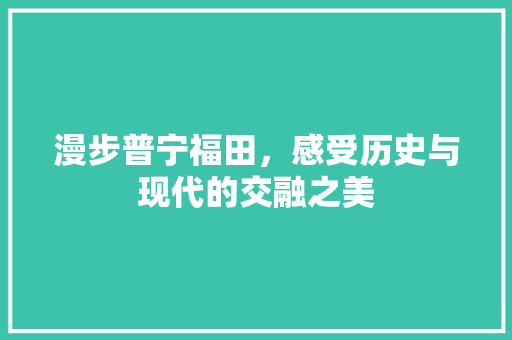 漫步普宁福田，感受历史与现代的交融之美