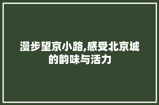 漫步望京小路,感受北京城的韵味与活力