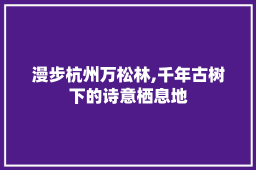 漫步杭州万松林,千年古树下的诗意栖息地