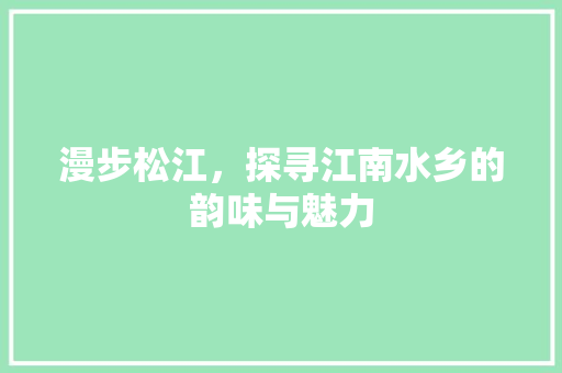 漫步松江，探寻江南水乡的韵味与魅力