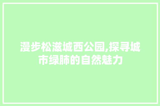 漫步松滋城西公园,探寻城市绿肺的自然魅力