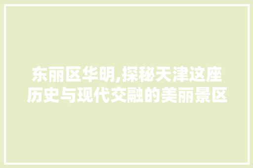 东丽区华明,探秘天津这座历史与现代交融的美丽景区