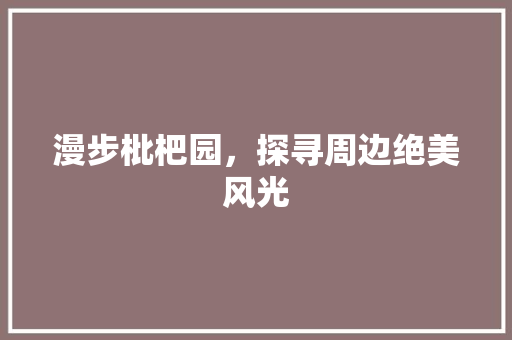 漫步枇杷园，探寻周边绝美风光