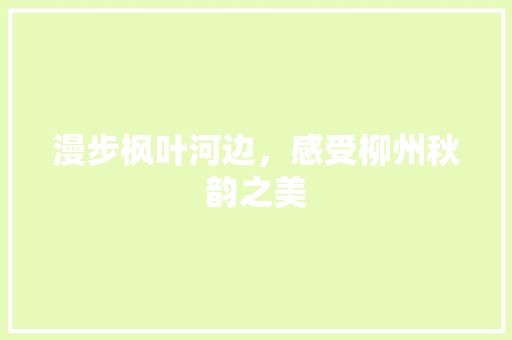 漫步枫叶河边，感受柳州秋韵之美  第1张