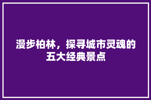 漫步柏林，探寻城市灵魂的五大经典景点