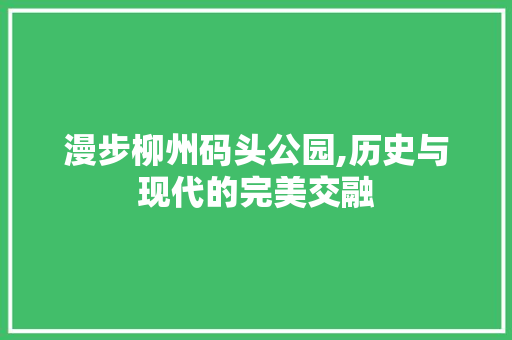 漫步柳州码头公园,历史与现代的完美交融