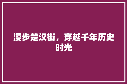 漫步楚汉街，穿越千年历史时光