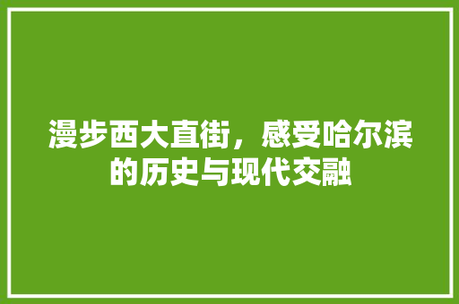 漫步西大直街，感受哈尔滨的历史与现代交融  第1张