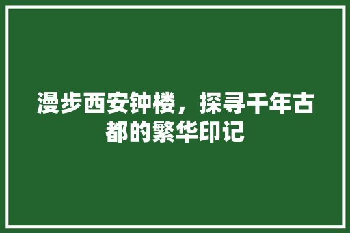 漫步西安钟楼，探寻千年古都的繁华印记  第1张
