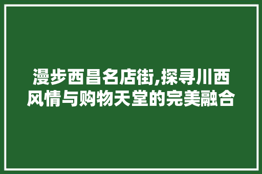 漫步西昌名店街,探寻川西风情与购物天堂的完美融合