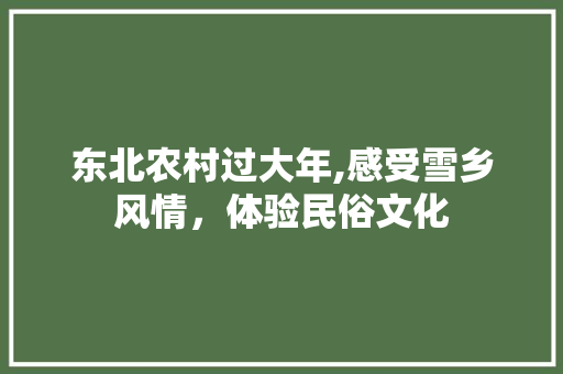 东北农村过大年,感受雪乡风情，体验民俗文化  第1张