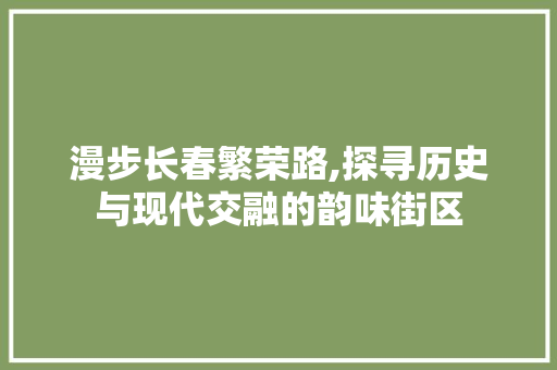 漫步长春繁荣路,探寻历史与现代交融的韵味街区