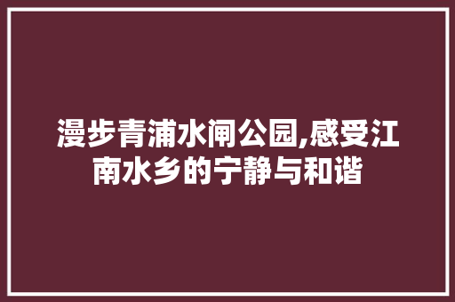 漫步青浦水闸公园,感受江南水乡的宁静与和谐