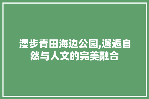 漫步青田海边公园,邂逅自然与人文的完美融合  第1张