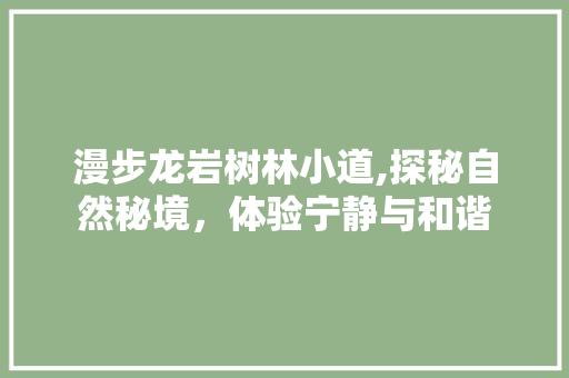 漫步龙岩树林小道,探秘自然秘境，体验宁静与和谐