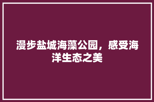 漫步盐城海藻公园，感受海洋生态之美