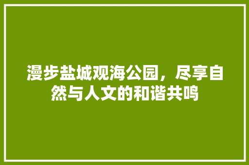 漫步盐城观海公园，尽享自然与人文的和谐共鸣