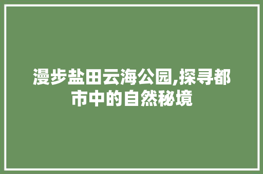 漫步盐田云海公园,探寻都市中的自然秘境