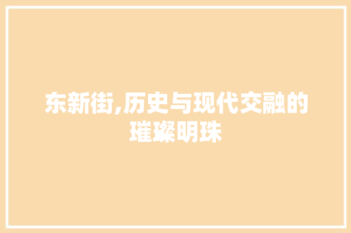 东新街,历史与现代交融的璀璨明珠  第1张